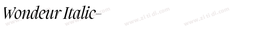 Wondeur Italic字体转换 Wondeur Italic字体转换